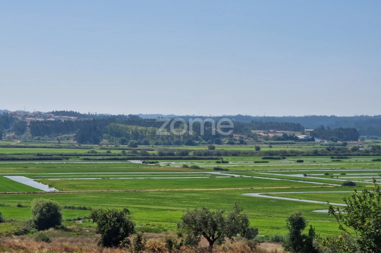 Terreno para Venda em Vinha da Rainha Foto 15