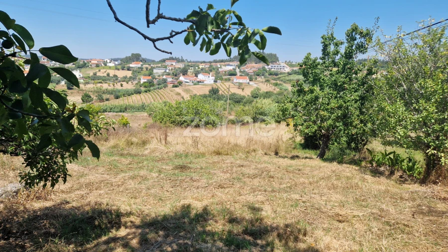 Terreno para Venda em Vinha da Rainha