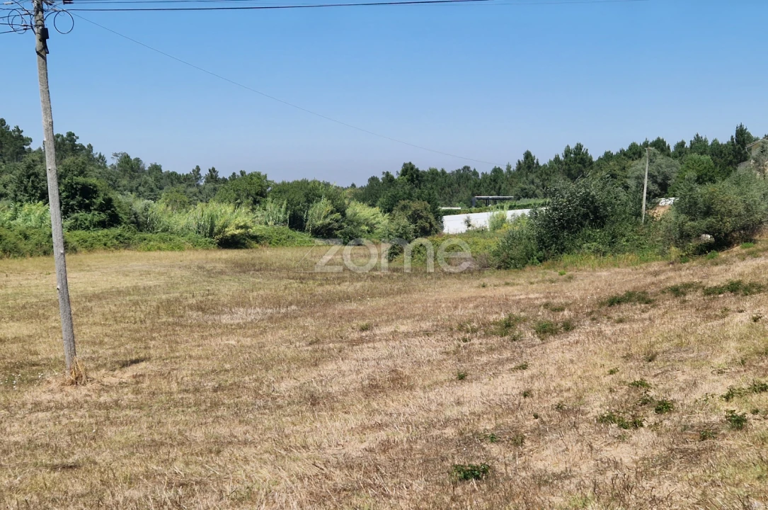 Terreno para Venda em Soure Foto 6