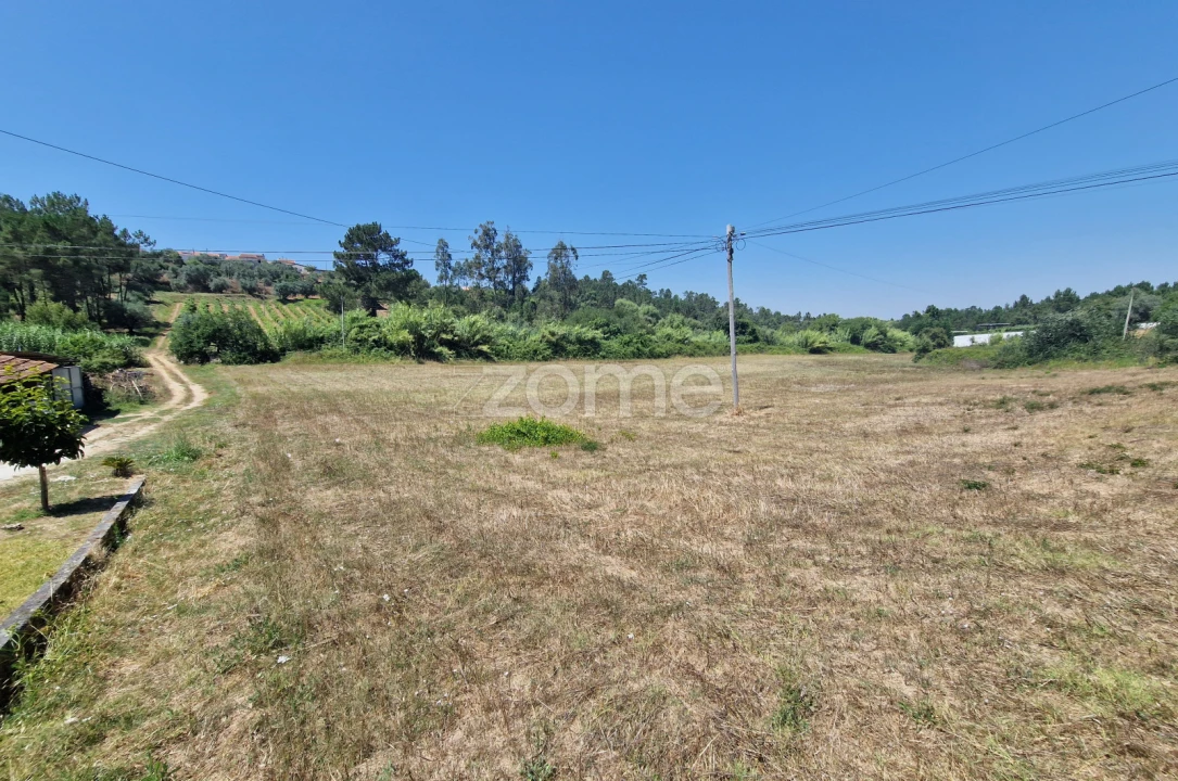 Terreno para Venda em Soure Foto 5