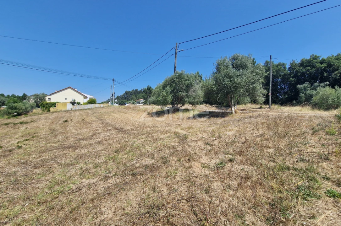 Terreno para Venda em Soure Foto 7