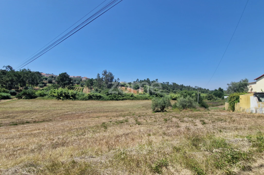 Terreno para Venda em Soure Foto 1