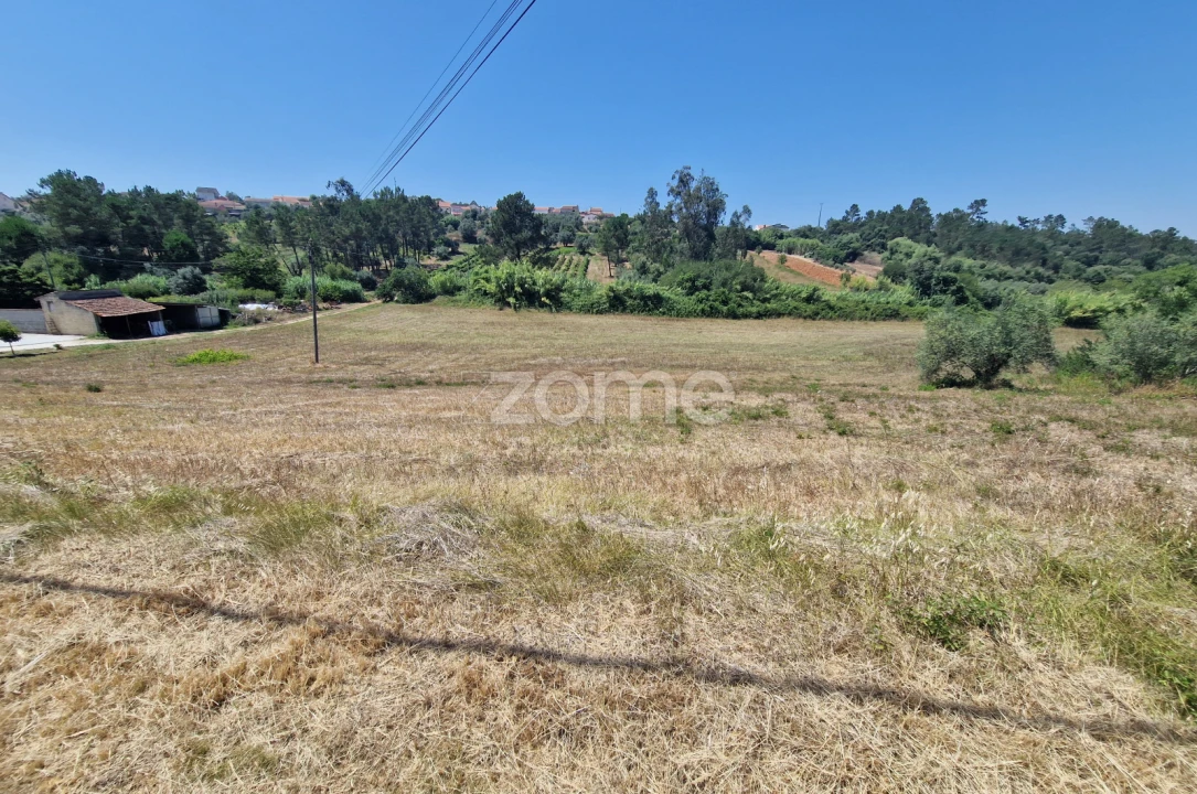 Terreno para Venda em Soure Foto 10