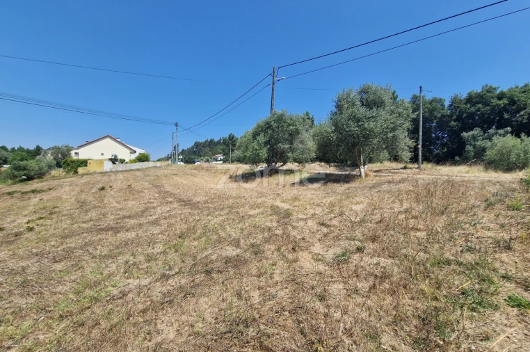 Terreno para Venda em Soure Foto 6