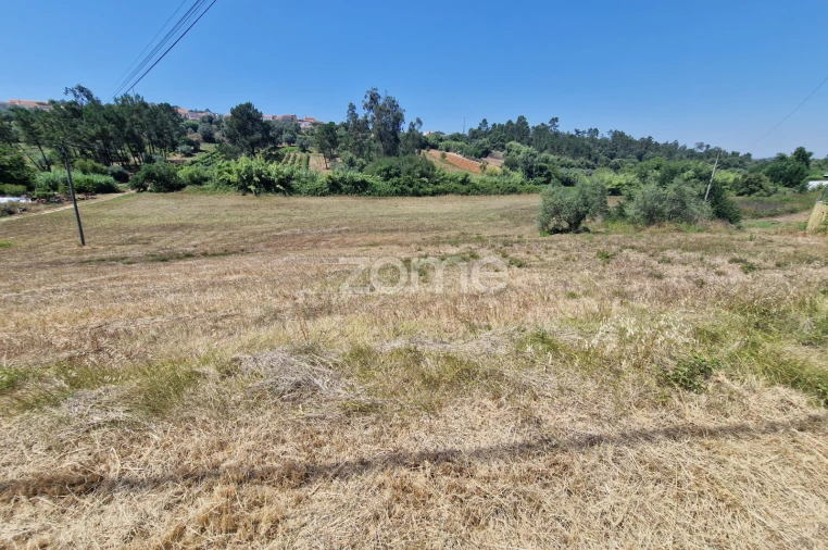Terreno para Venda em Soure Foto 11