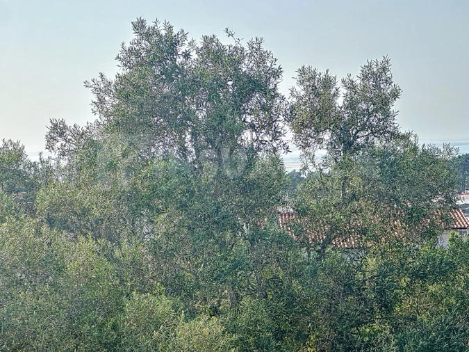 Moradia T5 para Venda em Moledo e Cristelo Foto 39