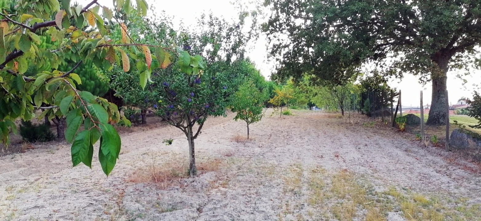 Terreno para Venda em Rio Torto e Lagarinhos Foto 33