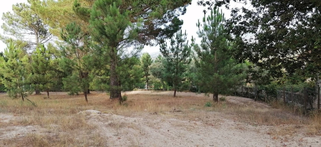 Terreno para Venda em Rio Torto e Lagarinhos Foto 16