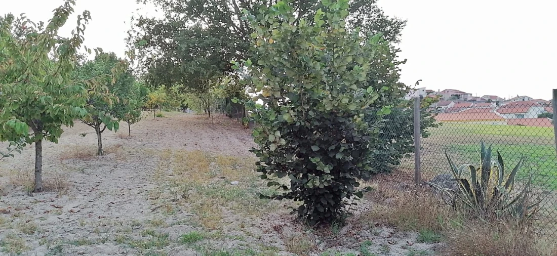 Terreno para Venda em Rio Torto e Lagarinhos Foto 35