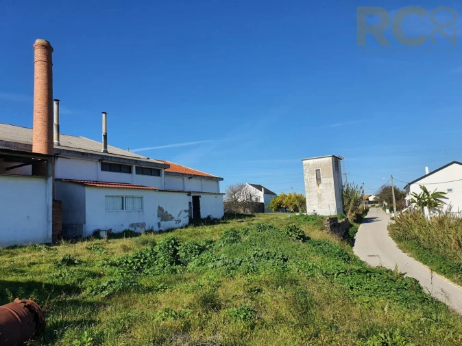 Loja para Arrendamento em Alcanhões Foto 17