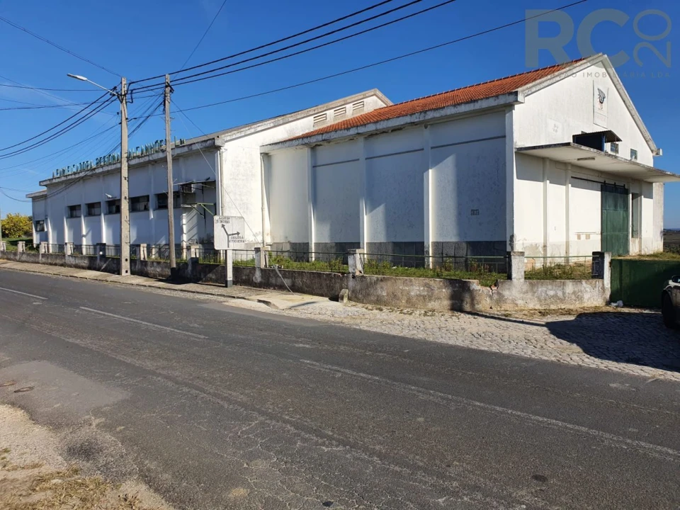 Loja para Arrendamento em Alcanhões Foto 12