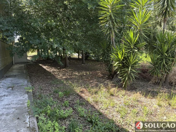 Loja para Venda em Ronfe Foto 6