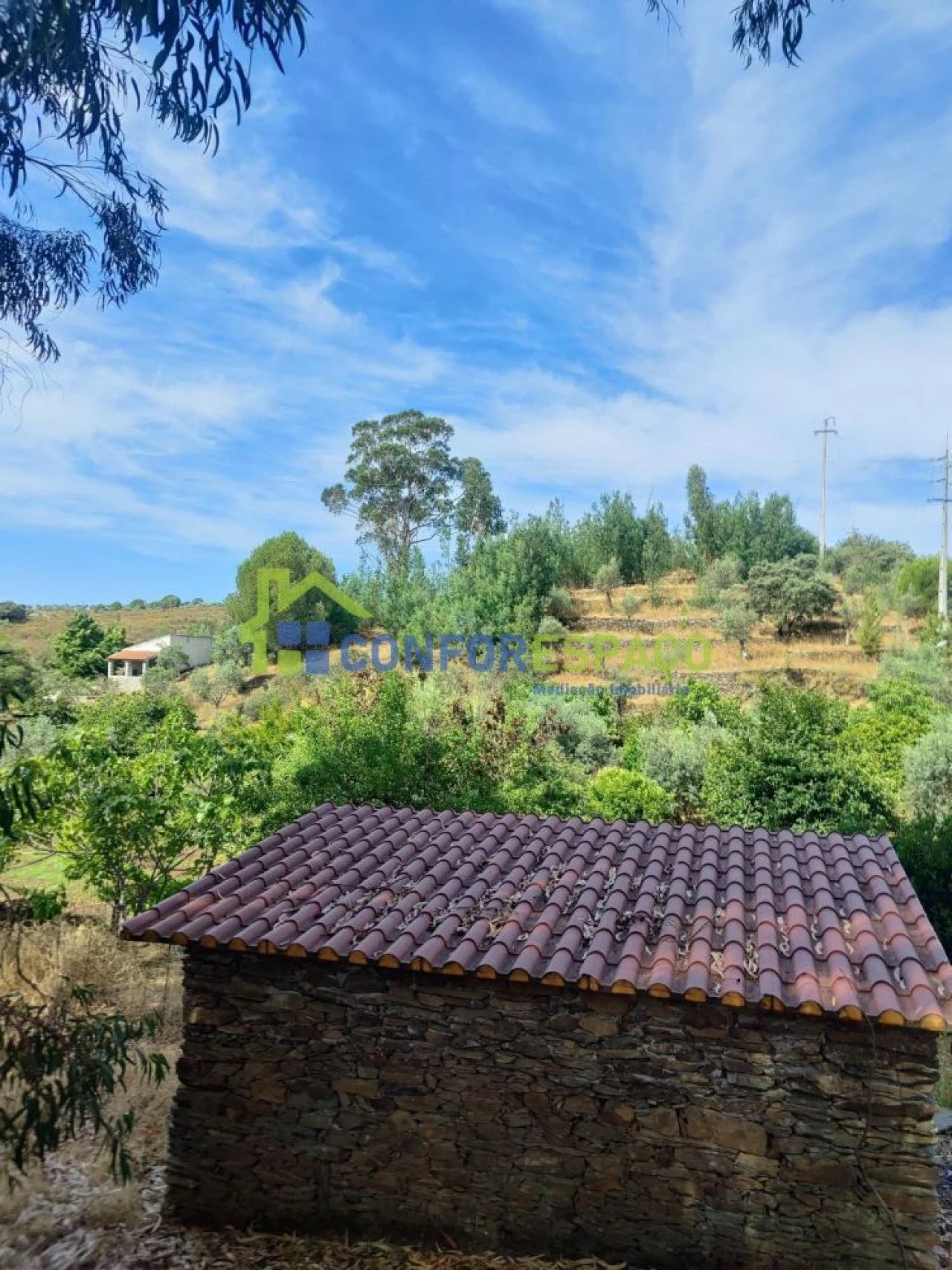 Quinta T2 para Venda em Escalos de Baixo e Mata Foto 3