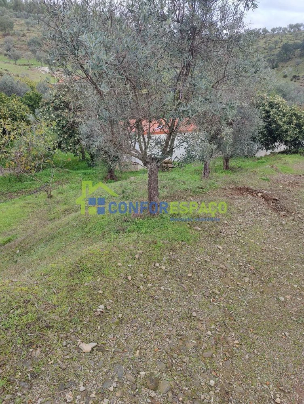 Quinta T2 para Venda em Escalos de Baixo e Mata Foto 8