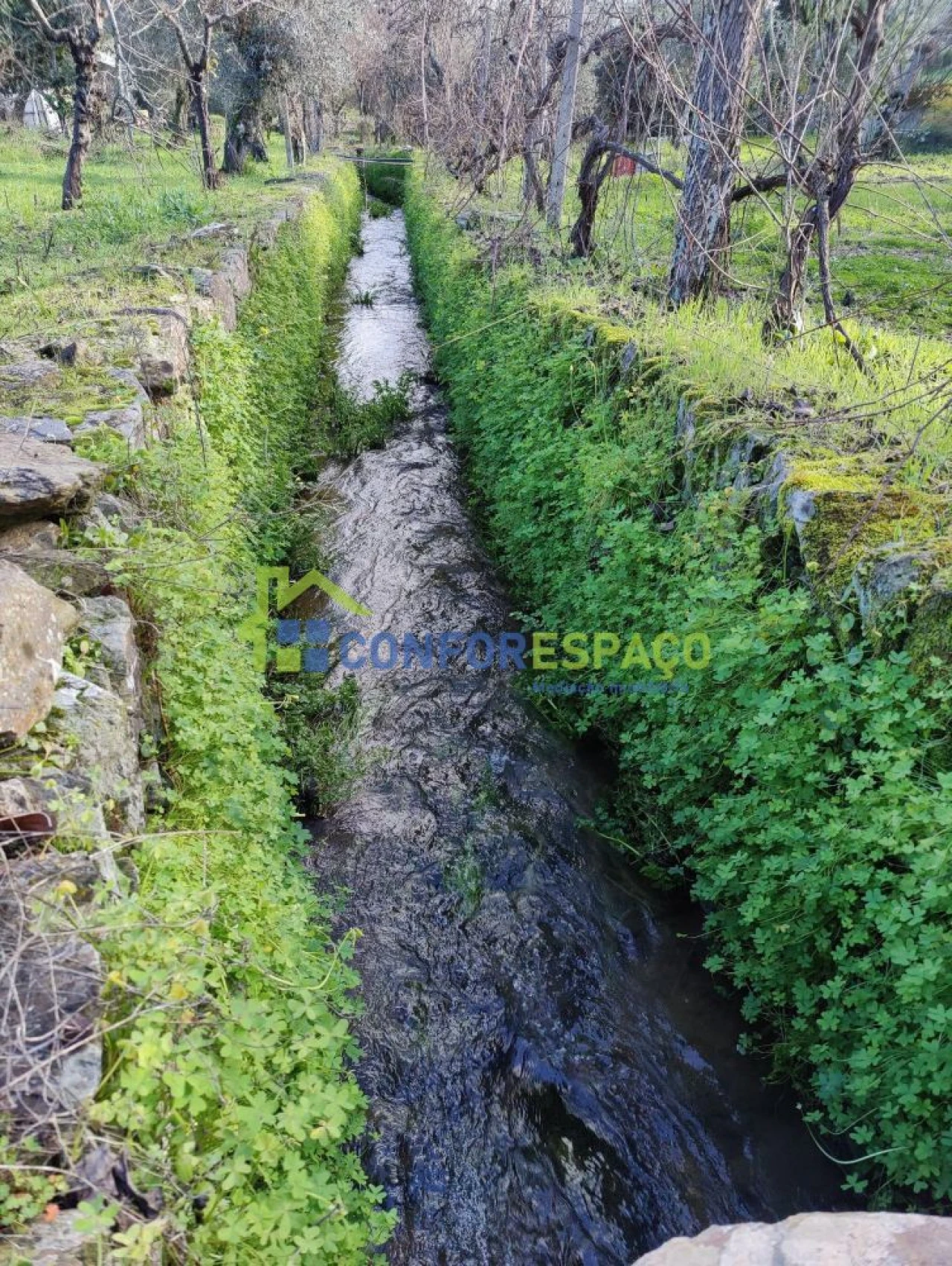 Quinta T2 para Venda em Escalos de Baixo e Mata Foto 9