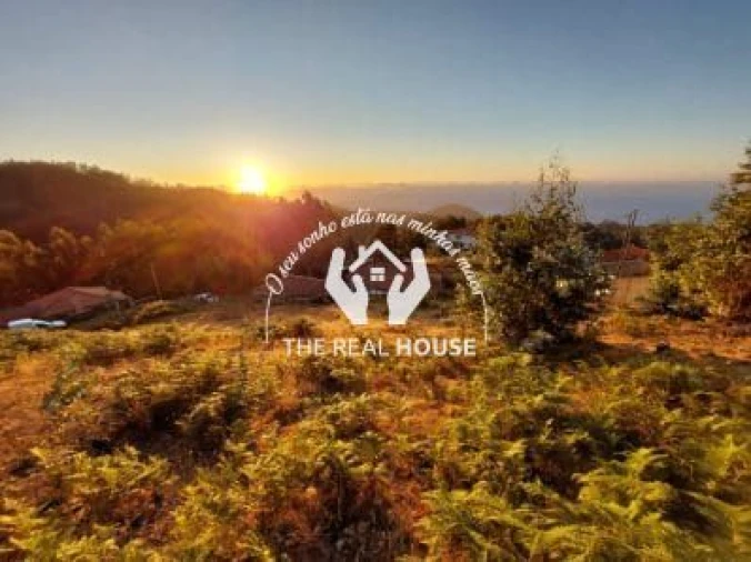 Terreno para Venda em Camacha Foto 1