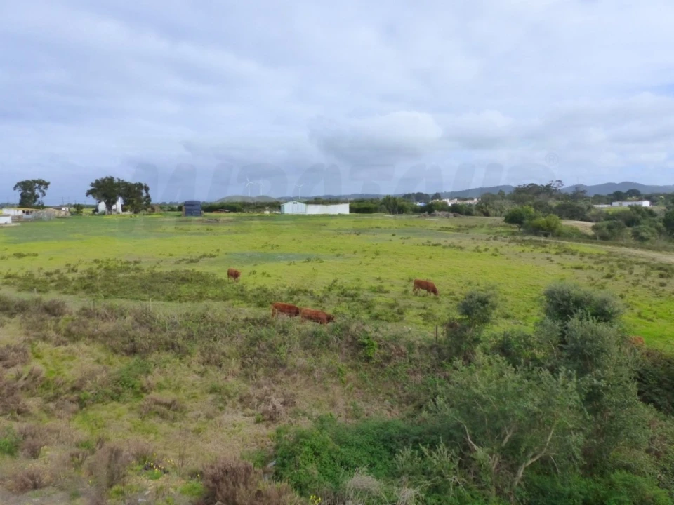 Moradia T3 para Venda em Porto Covo Foto 28