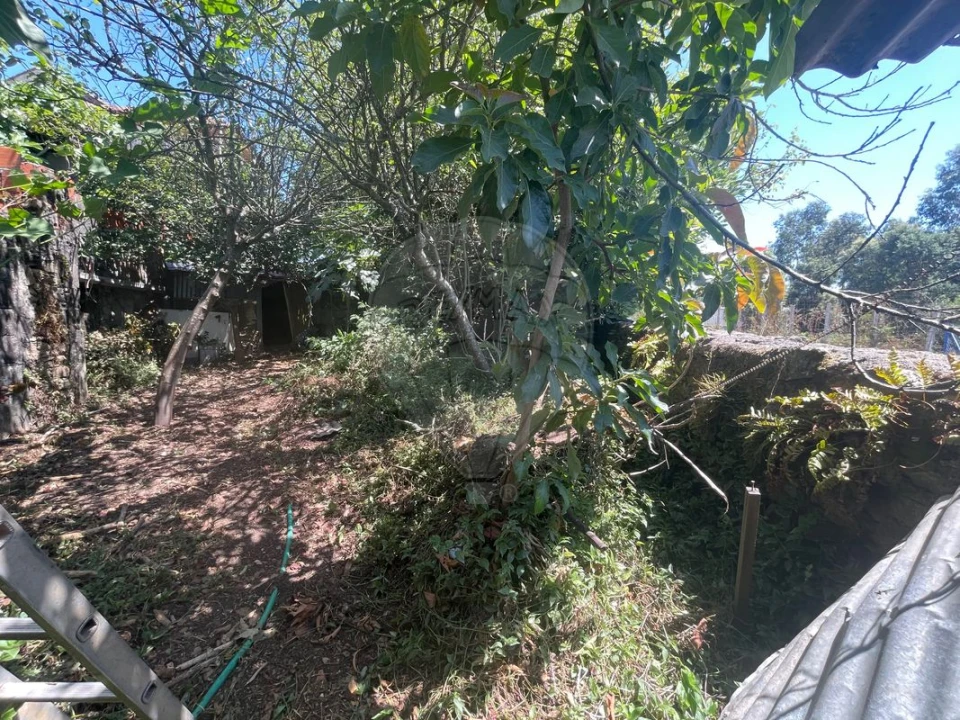 Moradia T2 para Venda em São João de Ver Foto 16