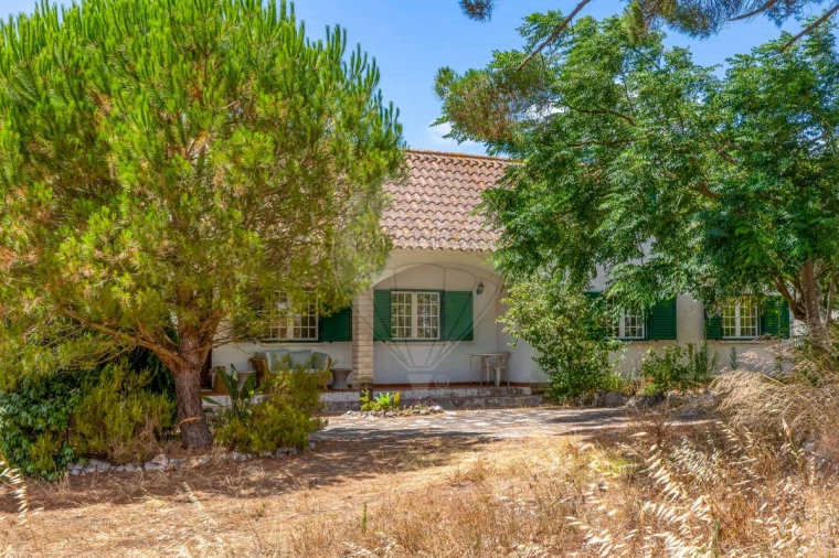 Quinta T3 para Venda em Alcoentre Foto 3