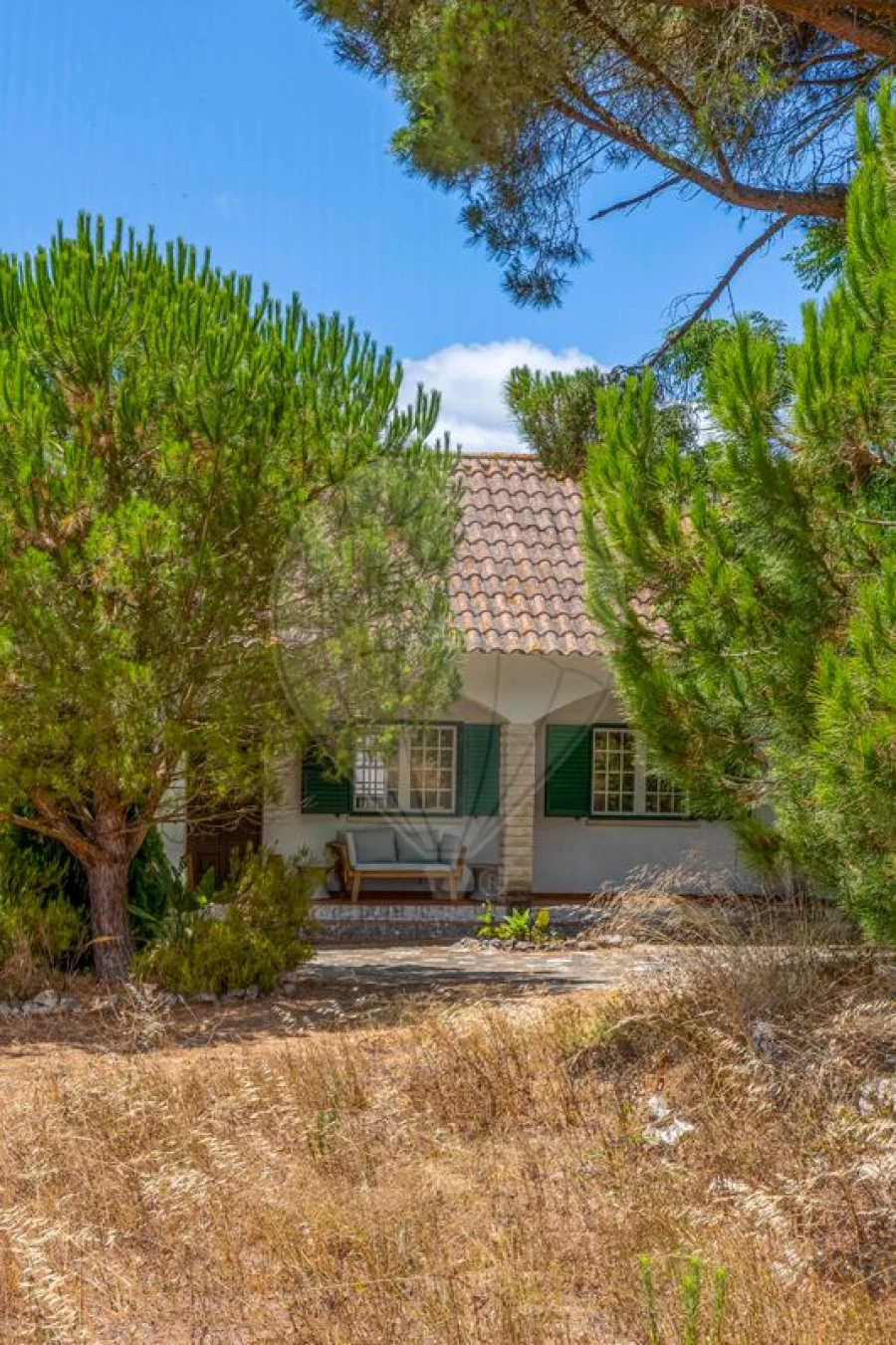 Quinta T3 para Venda em Alcoentre Foto 4