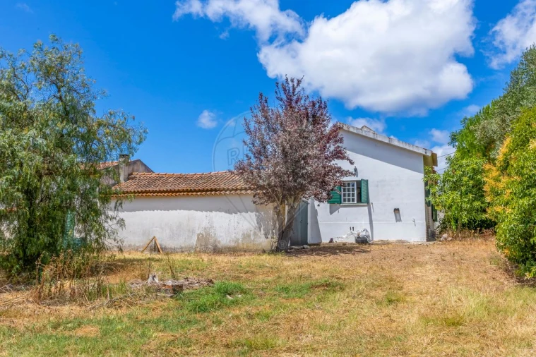 Quinta T3 para Venda em Alcoentre Foto 38