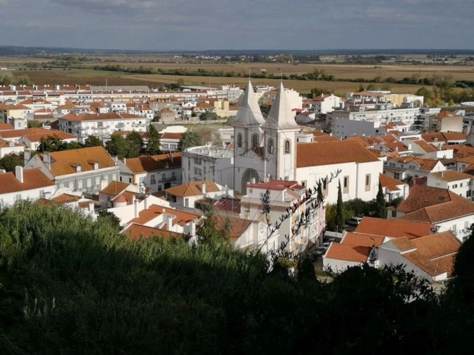 Terreno para Venda em Coruche, Fajarda e Erra Foto 2