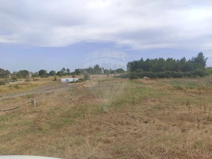 Terreno para Venda em Coruche, Fajarda e Erra Foto 5
