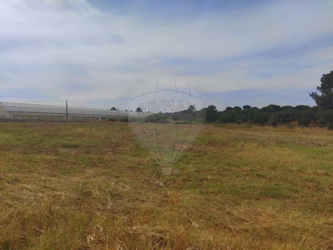 Terreno para Venda em Coruche, Fajarda e Erra Foto 6