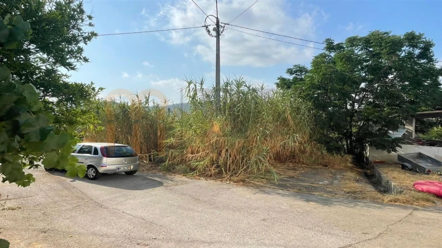 Terreno para Venda em Alcoutim e Pereiro Foto 1