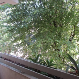 Apartamento T4 para Venda em Lordelo do Ouro e Massarelos