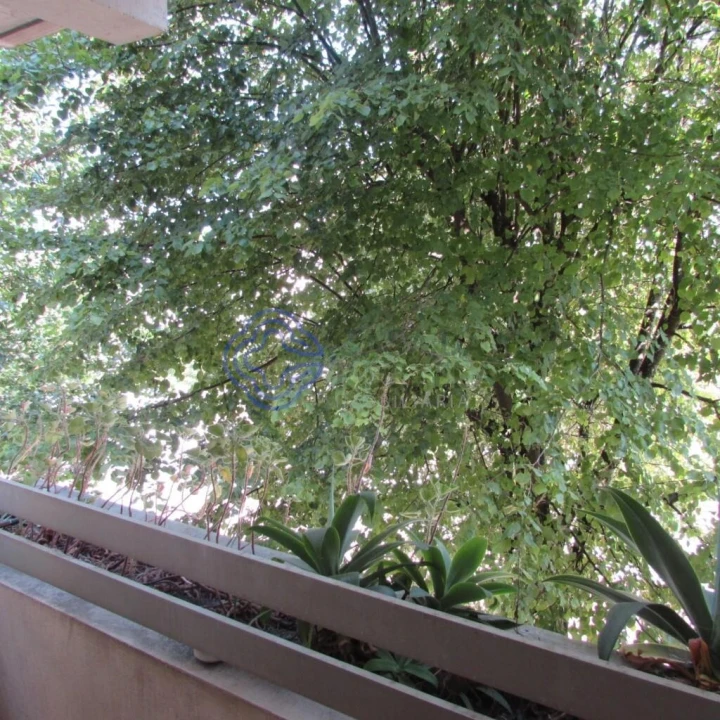 Apartamento T4 para Venda em Lordelo do Ouro e Massarelos Foto 5