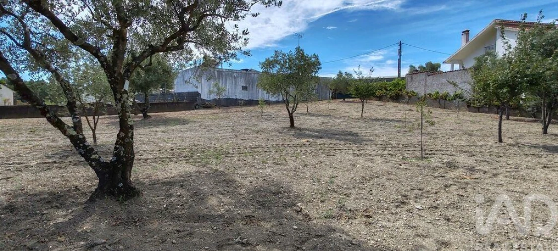 Moradia T6 para Venda em Proença-A-Nova e Peral Foto 29