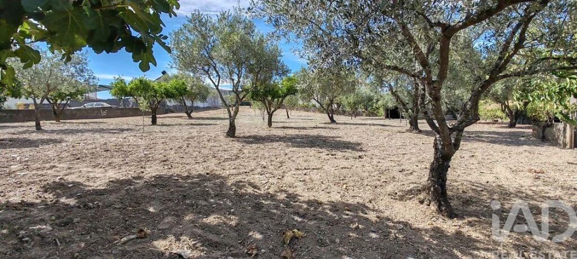 Moradia T6 para Venda em Proença-A-Nova e Peral Foto 28