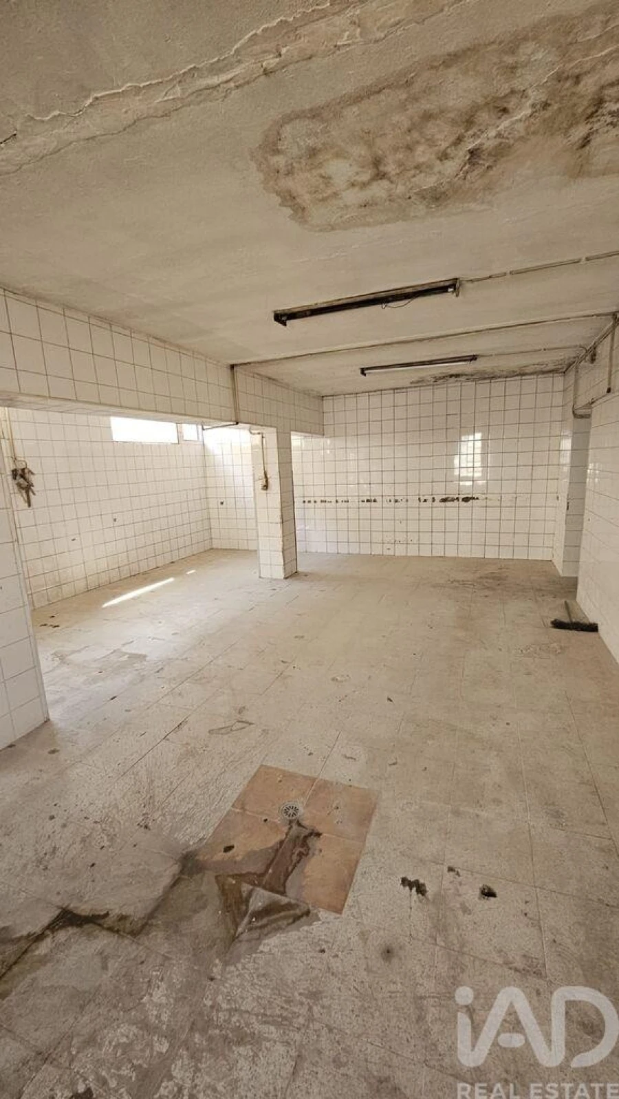 Prédio para Venda em Loule (São Sebastião) Foto 16