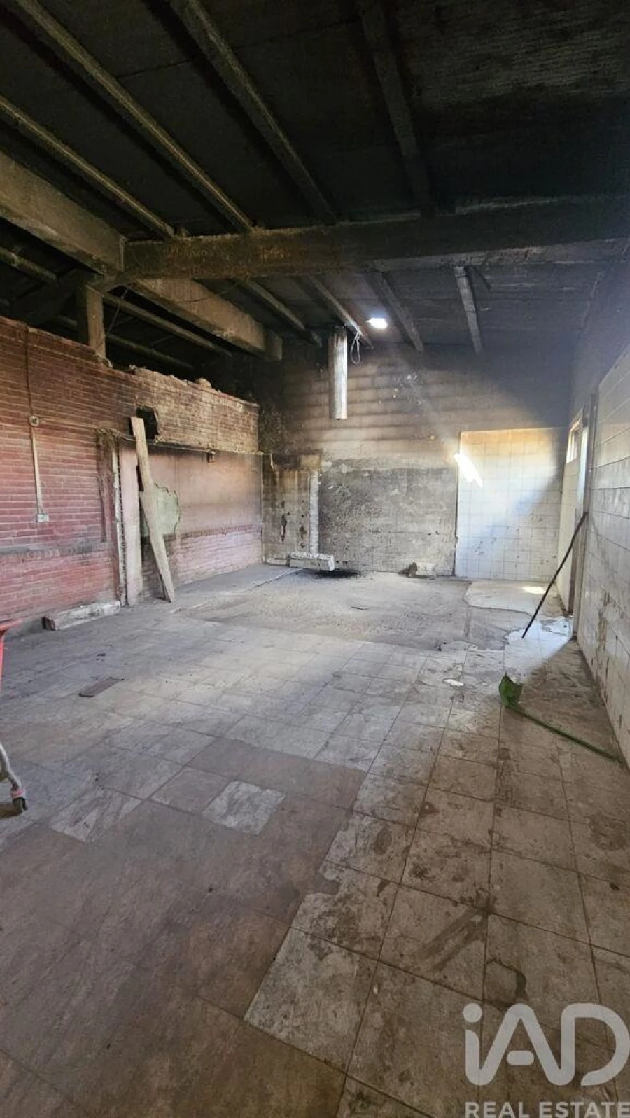 Prédio para Venda em Loule (São Sebastião) Foto 18