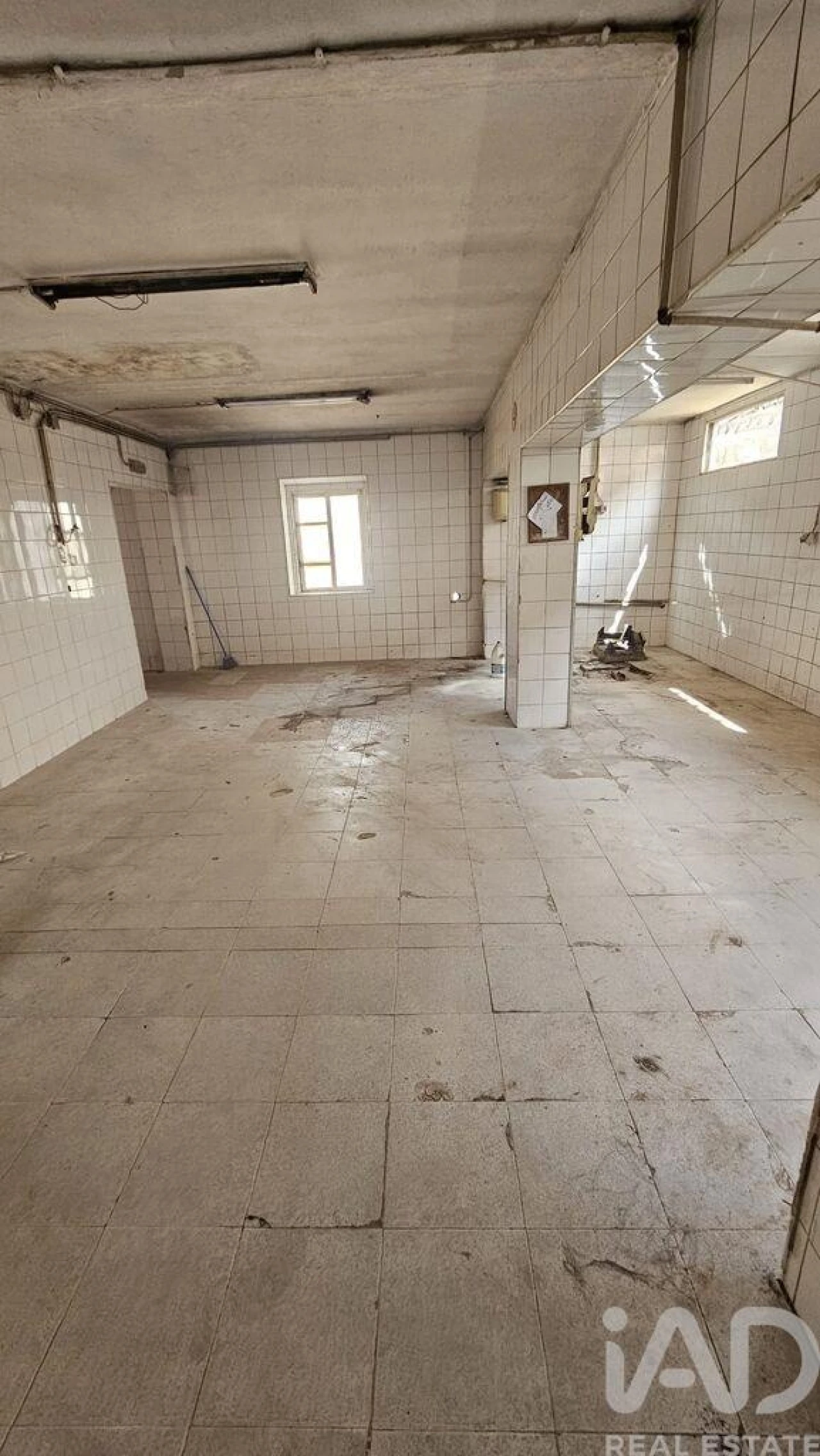 Prédio para Venda em Loule (São Sebastião) Foto 15