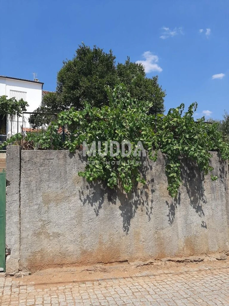 Moradia T2 para Venda em Sarzedas Foto 26