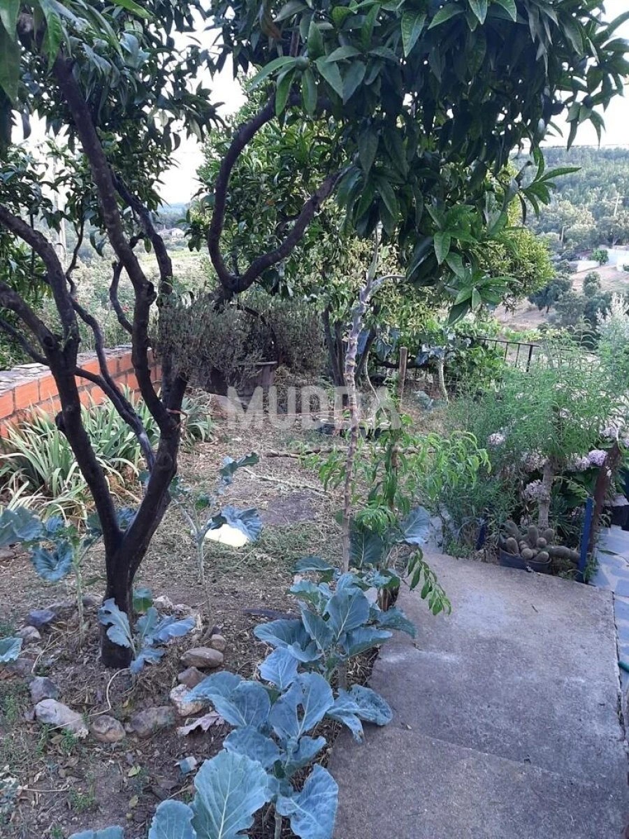 Moradia T2 para Venda em Sarzedas Foto 16