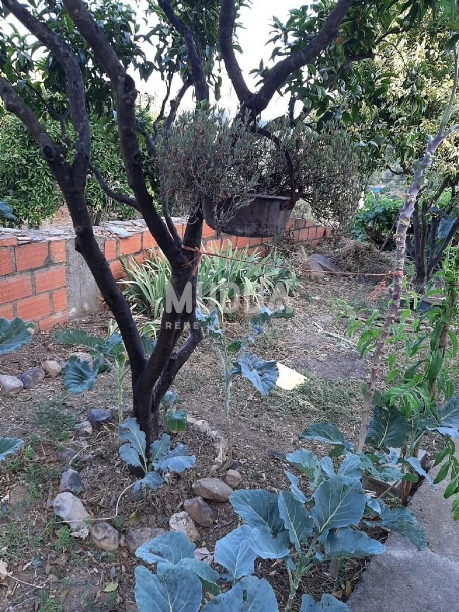 Moradia T2 para Venda em Sarzedas Foto 19