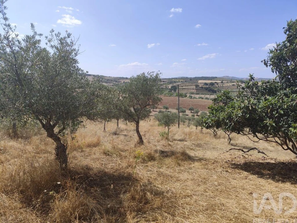 Moradia T2 para Venda em Castelo Branco Foto 18