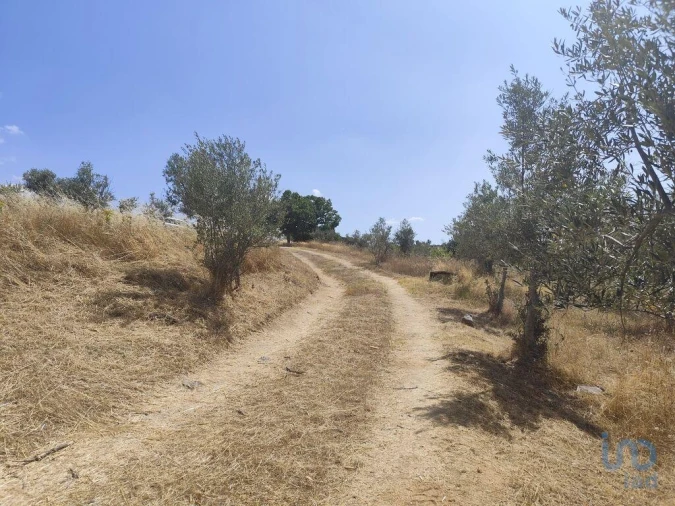 Moradia T2 para Venda em Castelo Branco Foto 2