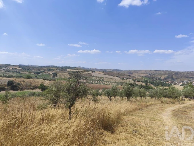 Moradia T2 para Venda em Castelo Branco Foto 19