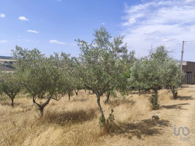 Moradia T2 para Venda em Castelo Branco Foto 4