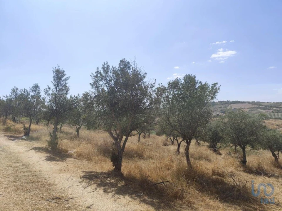 Moradia T2 para Venda em Castelo Branco Foto 3