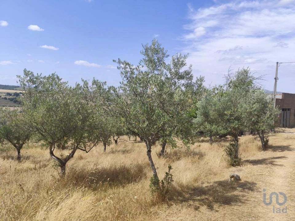 Moradia T2 para Venda em Castelo Branco Foto 4