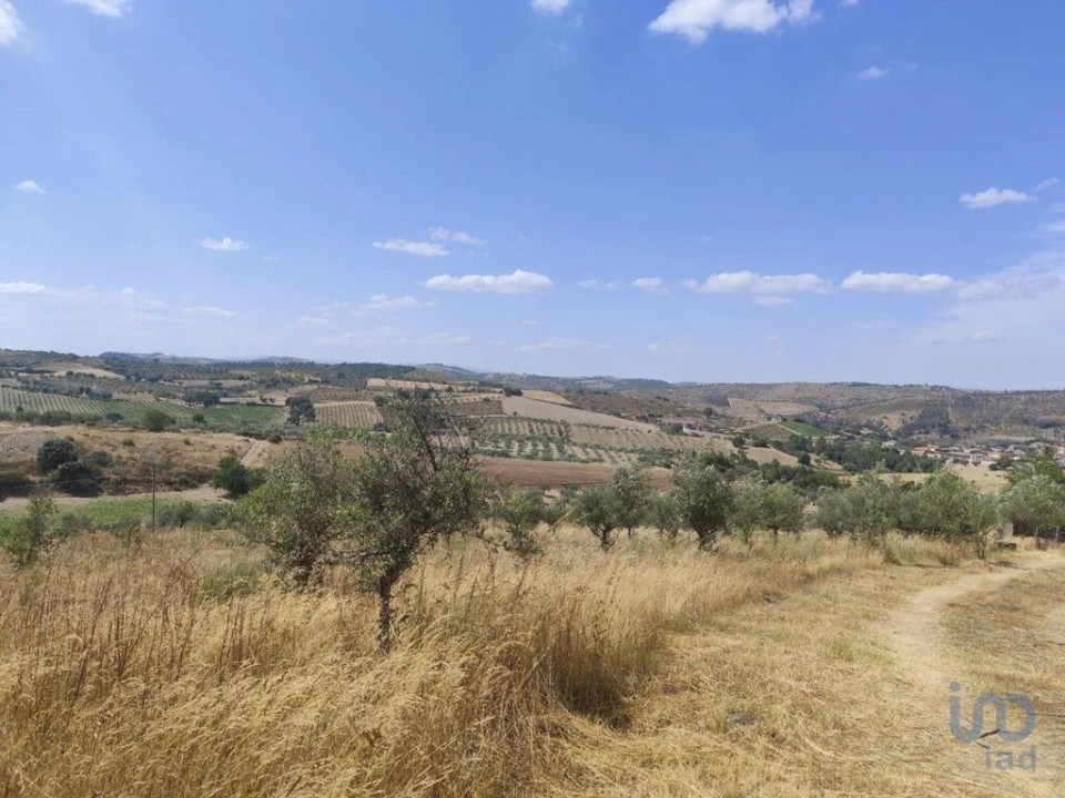 Moradia T2 para Venda em Castelo Branco Foto 14