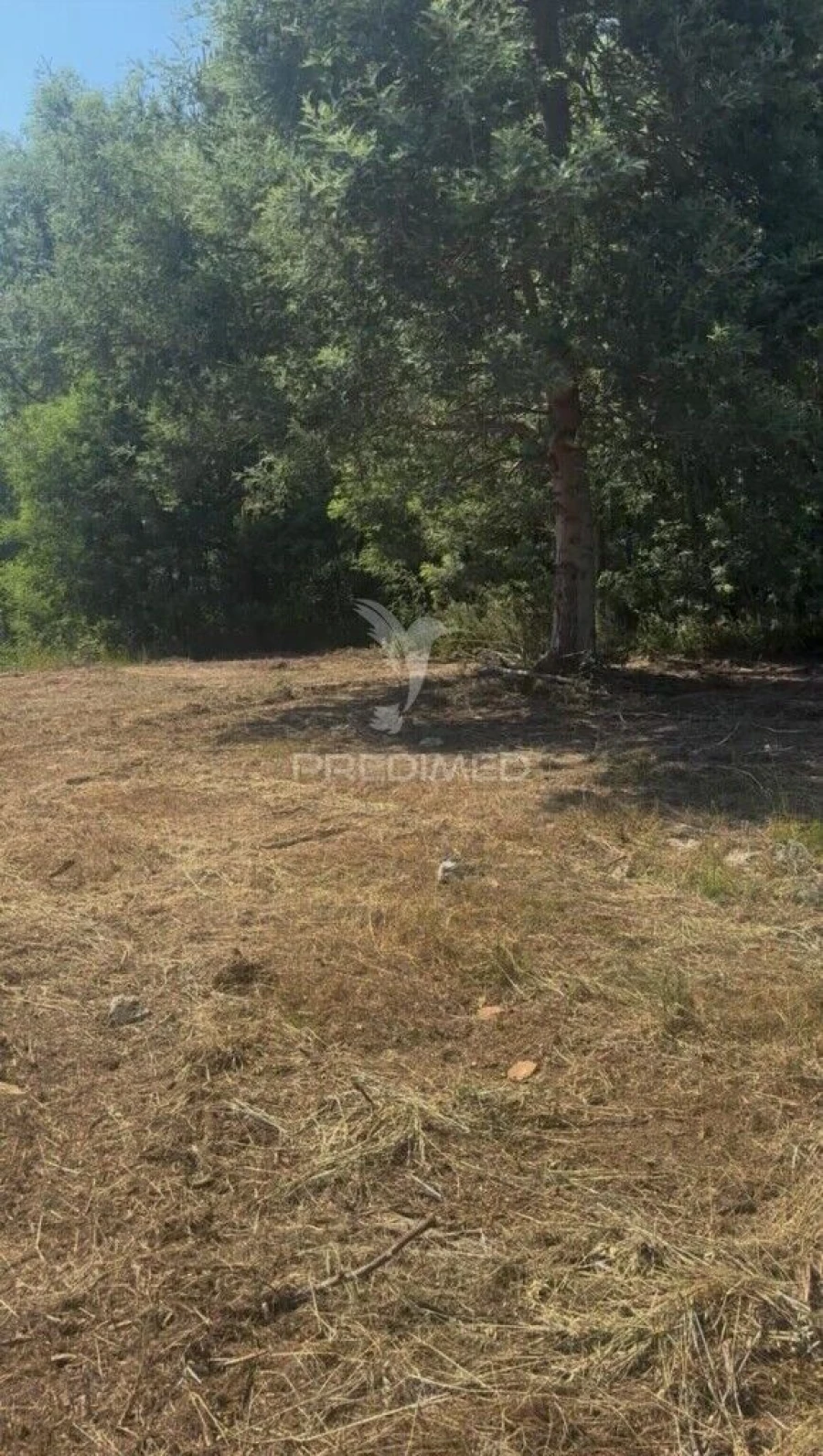 Terreno para Venda em Fridão
