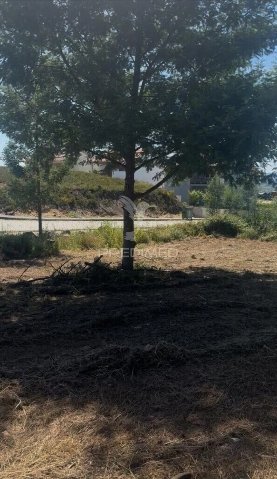 Terreno para Venda em Fridão Foto 2