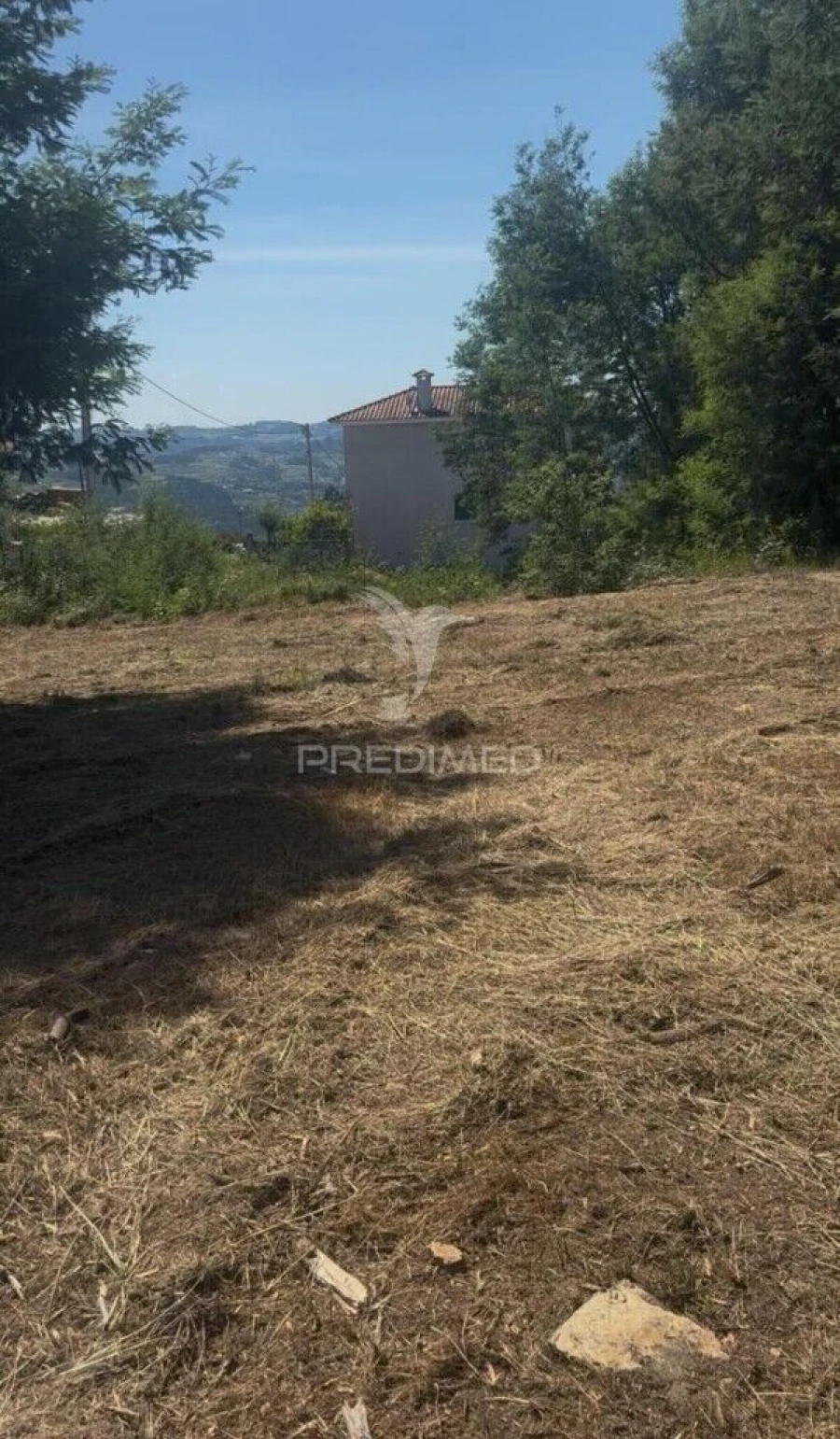 Terreno para Venda em Fridão Foto 5