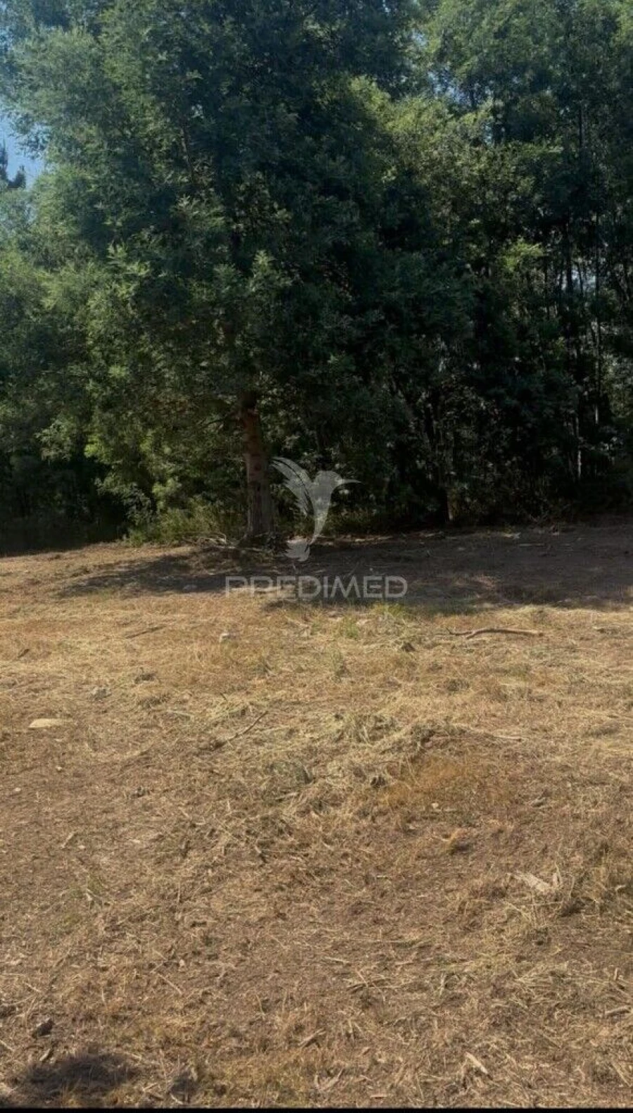 Terreno para Venda em Fridão Foto 3